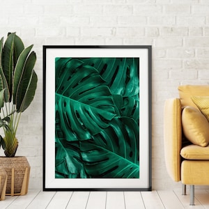 May include: A framed print of a close-up of a large green tropical leaf. The leaf has a textured surface and is framed in a black frame.
