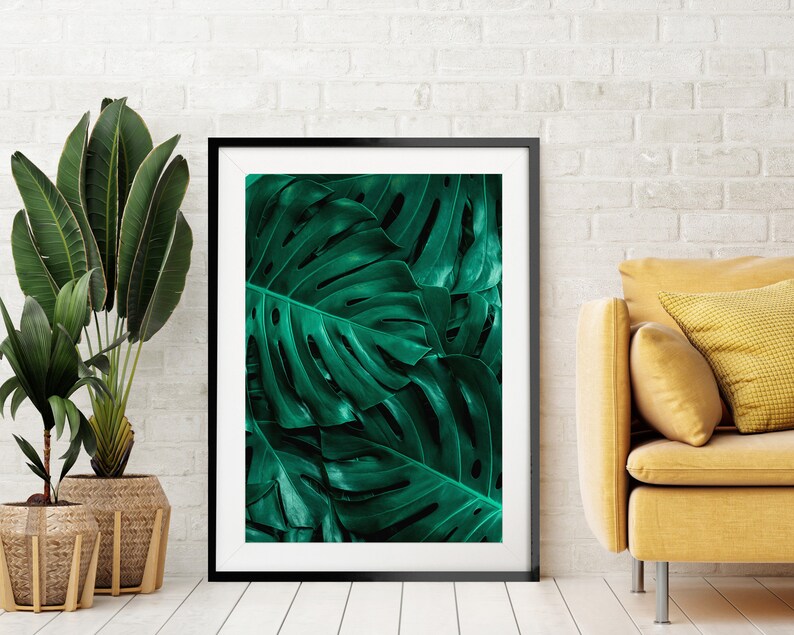 May include: A framed print of a close-up of a large green tropical leaf. The leaf has a textured surface and is framed in a black frame.