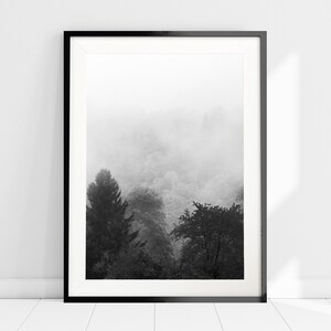 May include: Black and white photograph of a misty forest scene. The trees are silhouetted against the fog, creating a moody and atmospheric image.