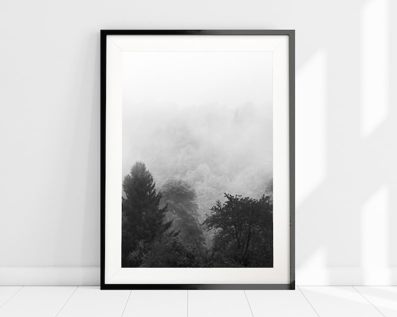 May include: Black and white photograph of a misty forest scene. The trees are silhouetted against the fog, creating a moody and atmospheric image.