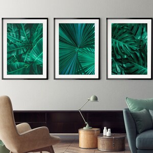 May include: Three framed prints of tropical green leaves. The prints are in black frames and are hanging on a white wall.