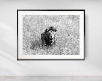 Leeuw Fotografie Print, Office Wall Art, Afrikaanse Dierlijke Print, Zwart-wit Lion Print, Lion Art Print, Safari Wall Decor, Afrika Art
