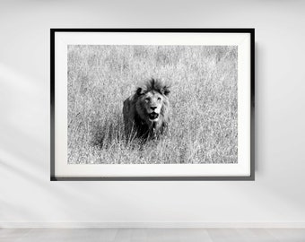 Lion Photography Print, Office Wall Art, African Animal Print, Black and White Lion Print, Lion Art Print, Safari Wall Decor, Africa Art