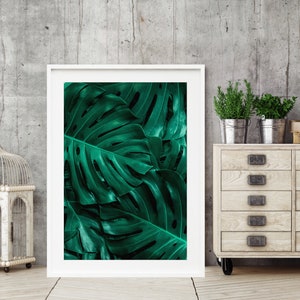 May include: A framed print of a close-up of large, dark green tropical leaves. The leaves have a textured, veined appearance.