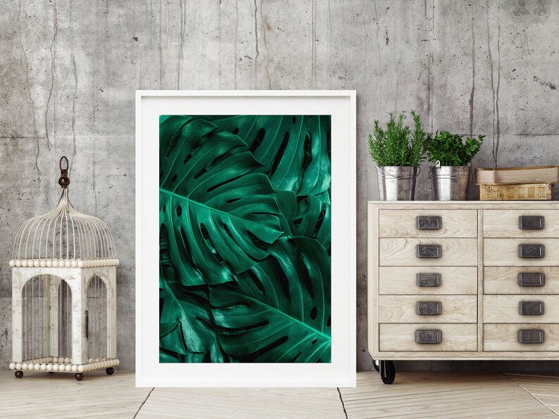 May include: A framed print of a close-up of large, dark green tropical leaves. The leaves have a textured, veined appearance.