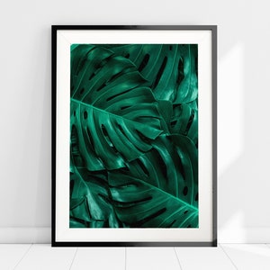 May include: A framed print of a close-up of large, dark green tropical leaves.