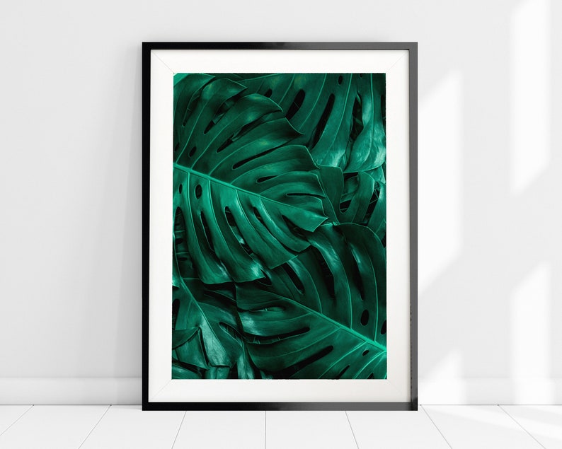 May include: A framed print of a close-up of large, dark green tropical leaves.