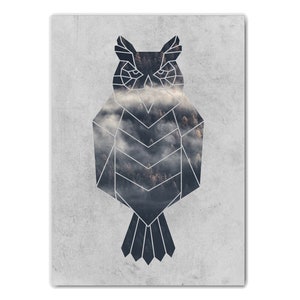 May include: Geometric owl silhouette with a forest and clouds background. The owl is outlined in white and filled with a dark blue color.