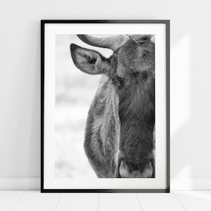 Wildebeest Photography Print, Home Office Wall Art, African Animal Print, Black and White Animal Print, Safari Photography Print, Home Decor