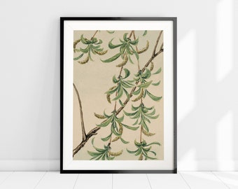 Boho Wall Art, Watercolour Tree Painting Art Print, Botanical Wall Decor, Nordic Minimalist Art, Vintage Tree Print, Botanical Home Decor