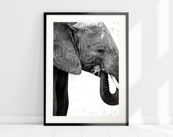 Elefant Fotografie, Home Office Kunst, Afrikanische Safari Tier Druck, Schwarz-Weiß Fotografie, Safari Art Print, Home Wall Dekor
