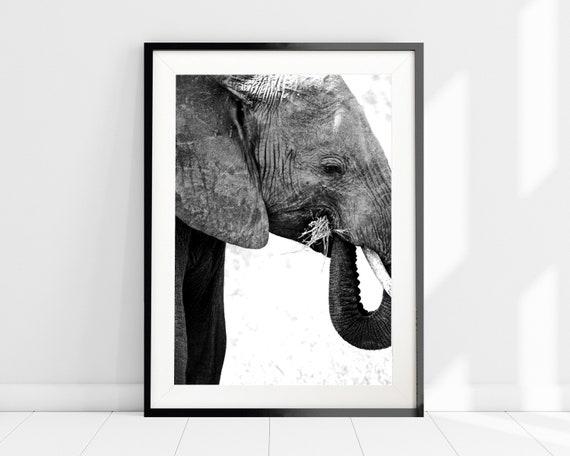 Elephant Photography Print, Home Office Art, African Safari Animal Print, Black and White Photography, Safari Art Print, Home Wall Decor