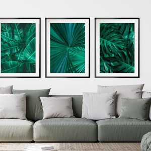 May include: Three framed prints of tropical leaves in shades of green. The prints are arranged in a row on a white wall above a gray sofa.