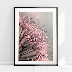 Blush Dandelion Art Print, Affiche de fleur rose, Art mural minimaliste moderne, Décoration murale botanique, Art mural féminin rose, Décor mural boho