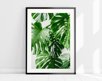 Monstera Plant Art Print, Monstera Leaves Wall Art, Tropical Palm Print, Minimalist Wall Art, Modern Home Decor, Swiss Cheese Plant Poster