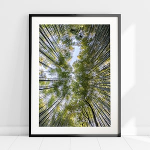 Bäume Wandkunst, Bambus Baum Baldachin Poster Druck, Grüner Wald Natur Home Dekor, Bäume Dekor, Wald Kunstdruck, Rustikales Wohndekor