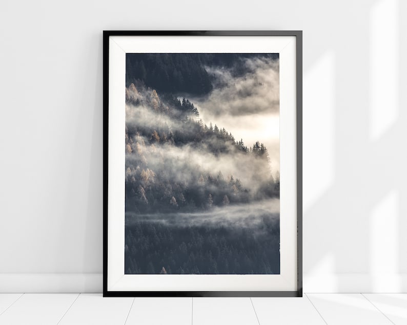 May include: A black and white photograph of a forest with fog rolling through the trees. The fog is thick and white, and the trees are dark and green. The sun is shining through the fog, creating a warm glow.