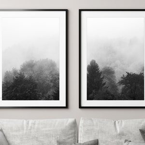 May include: Two black and white framed photographs of a misty forest scene. The photos show trees and fog in the background.