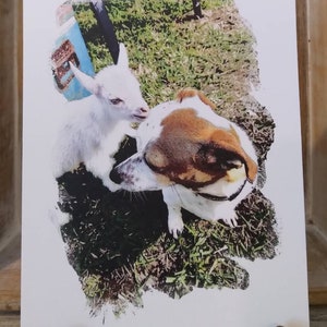 Baby Goat with Dog Art Print