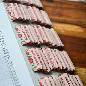 Shower of Roses Catholic Bible Tabs