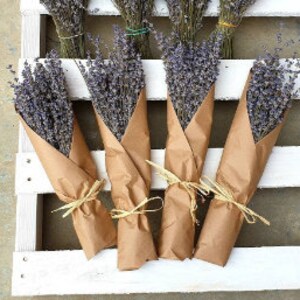 Lavender Bunch Dried Lavender Bundle 250 stems HARVEST 2022 WRAPPED decorative wedding 100% NATURAL image 3