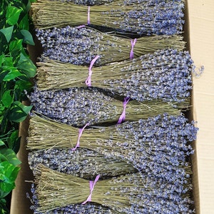 Lavender Bunch, Dried Lavender Bundle, Dry Flower Bunch, Over 300 Stems,  2022 Certified Organic, Dried Lavender for Bouquets, 