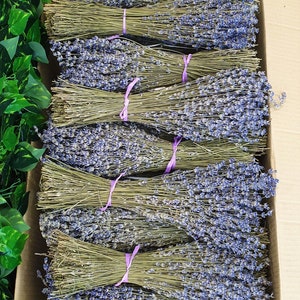 Gedroogde lavendelbundels met 250 stengels, kwaliteit A | lavendelboeket | EIGEN OOGST - 100% natuurlijk | Bloemen voor thuis, bruiloftsdecoratie
