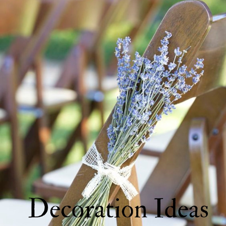 Lavender Bunch Dried Lavender Bundle 250 stems HARVEST 2022 WRAPPED decorative wedding 100% NATURAL image 4