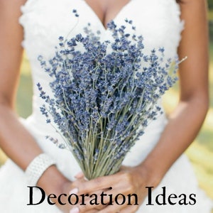 Lavender Bunch Dried Lavender Bundle 250 stems HARVEST 2022 WRAPPED decorative wedding 100% NATURAL image 5