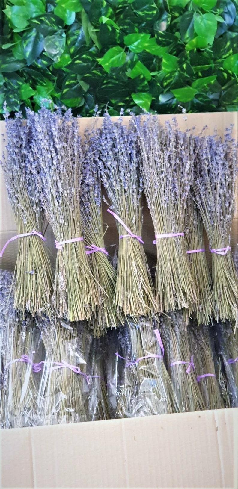 Dried Lavender Bundles 250 Stems Grade A Lavender Bouquet Etsy