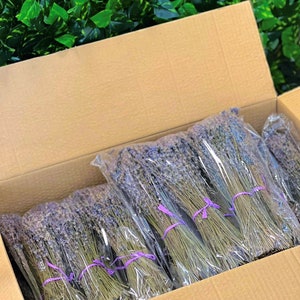 Getrocknete Lavendelbündel 250 Stiele Güteklasse A| Lavendelstrauß | EIGENE ERNTE 2024 - 100% natürlich | Blumen für Haus, Hochzeitsdekor