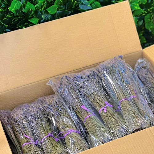 Lavande séchée en bottes 250 tiges Catégorie A| bouquet de lavande | PROPRE RÉCOLTE 2026 - 100 % naturel | Fleurs pour la maison, décoration de mariage