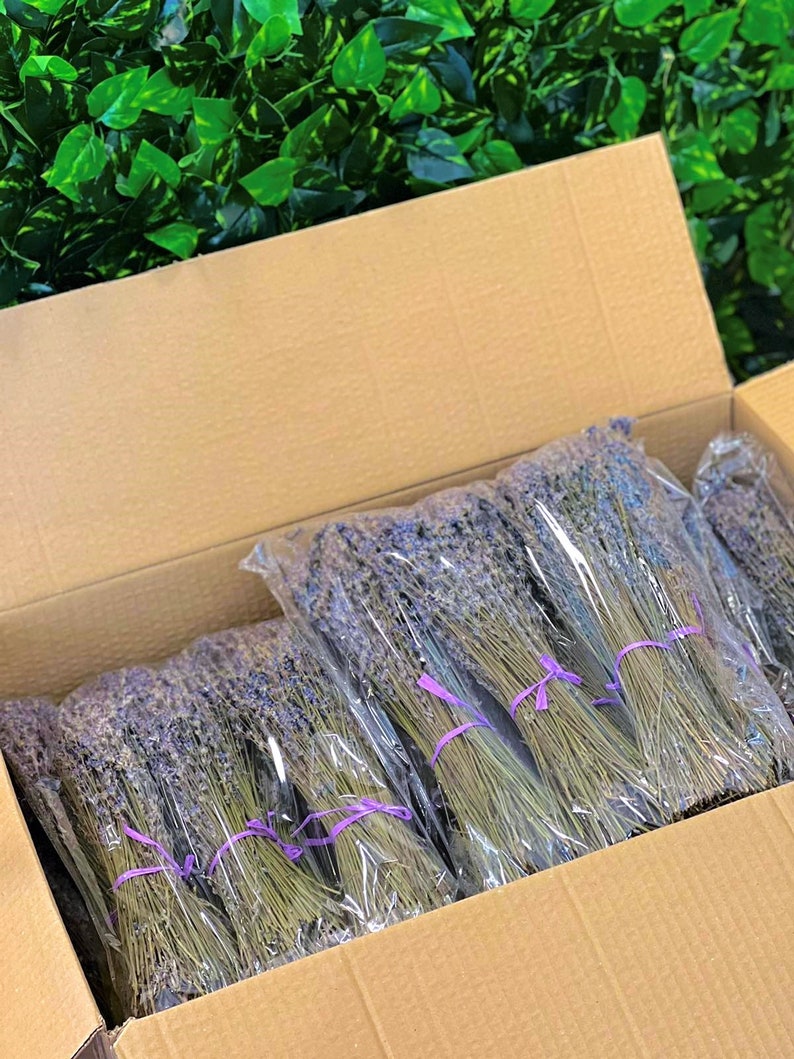 Lavender Bunch Dried Lavender Bundle 250 stems HARVEST 2022 WRAPPED decorative wedding 100% NATURAL image 6
