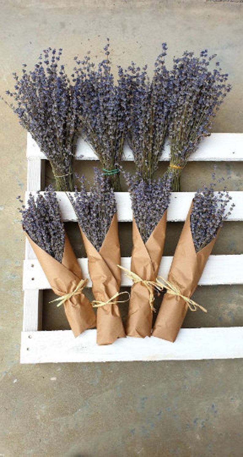 Lavender Bunch Dried Lavender Bundle 250 stems HARVEST 2022 WRAPPED decorative wedding 100% NATURAL image 3