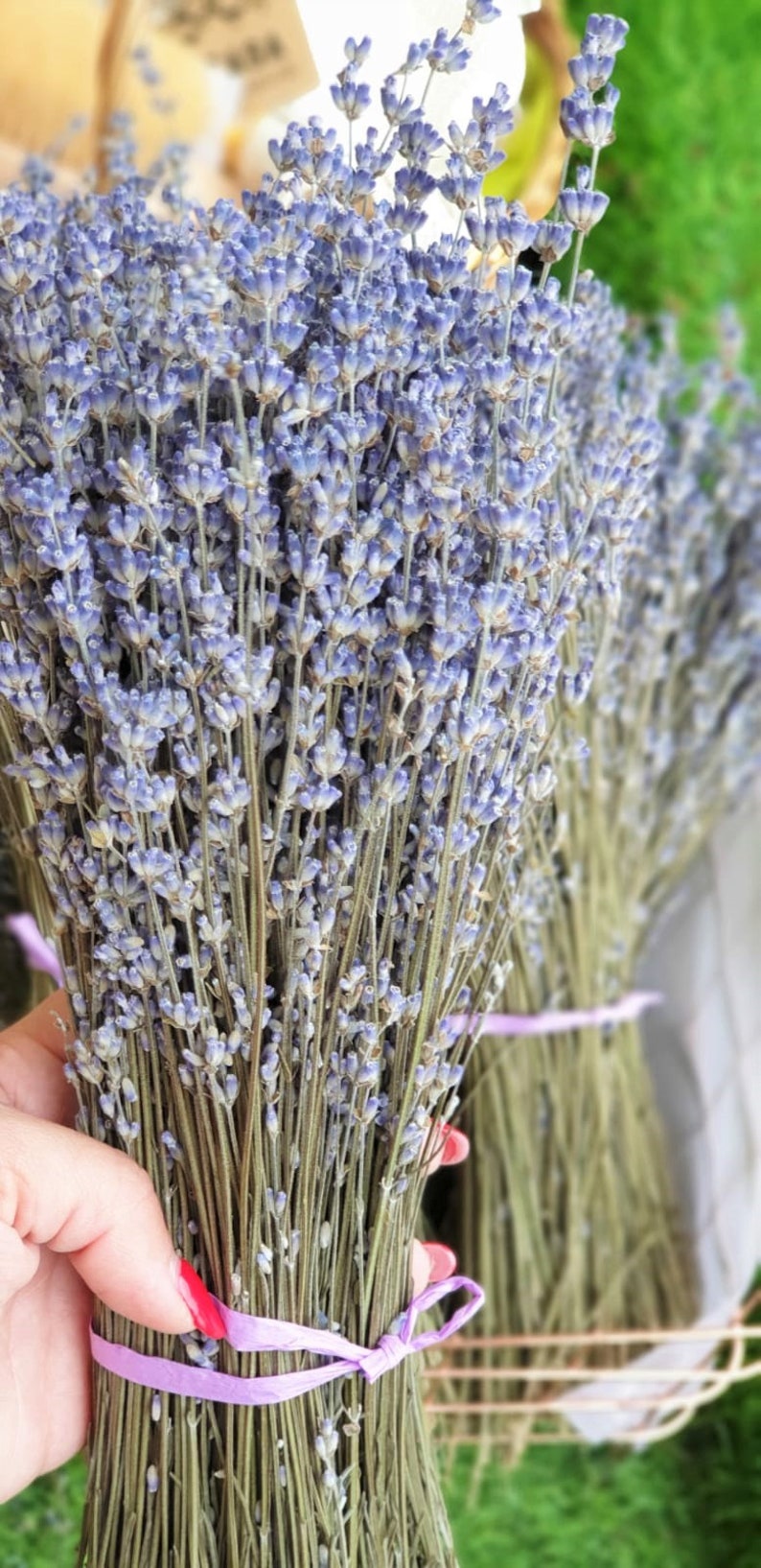 Dried Lavender Bundles 250 Stems Grade A Lavender Bouquet Etsy