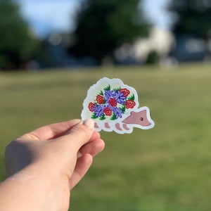 Hedgehog Sticker - Hedgehog Sticker Art - Hedgehog Sticker Design - Hedgehog Stickers - Hedgehog Vinyl Sticker - Vinyl Sticker Art