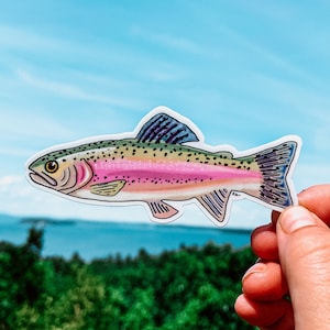 Rainbow Trout Fish Sticker - 3 inch Trout Sticker - Fishing Trout Art Sticker - Rainbow Trout Sticker Design - Rainbow Trout Sticker