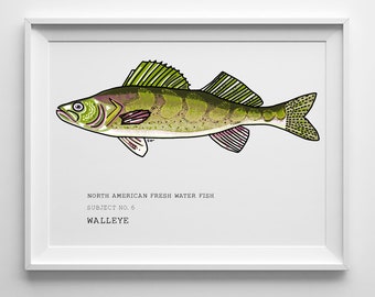 Snoekbaarzen vissen kunst - Noord-Amerikaanse zoetwatervissen serie van Sarah Hiers Design - Snoekbaarzen Art Design - Snoekbaarzen print