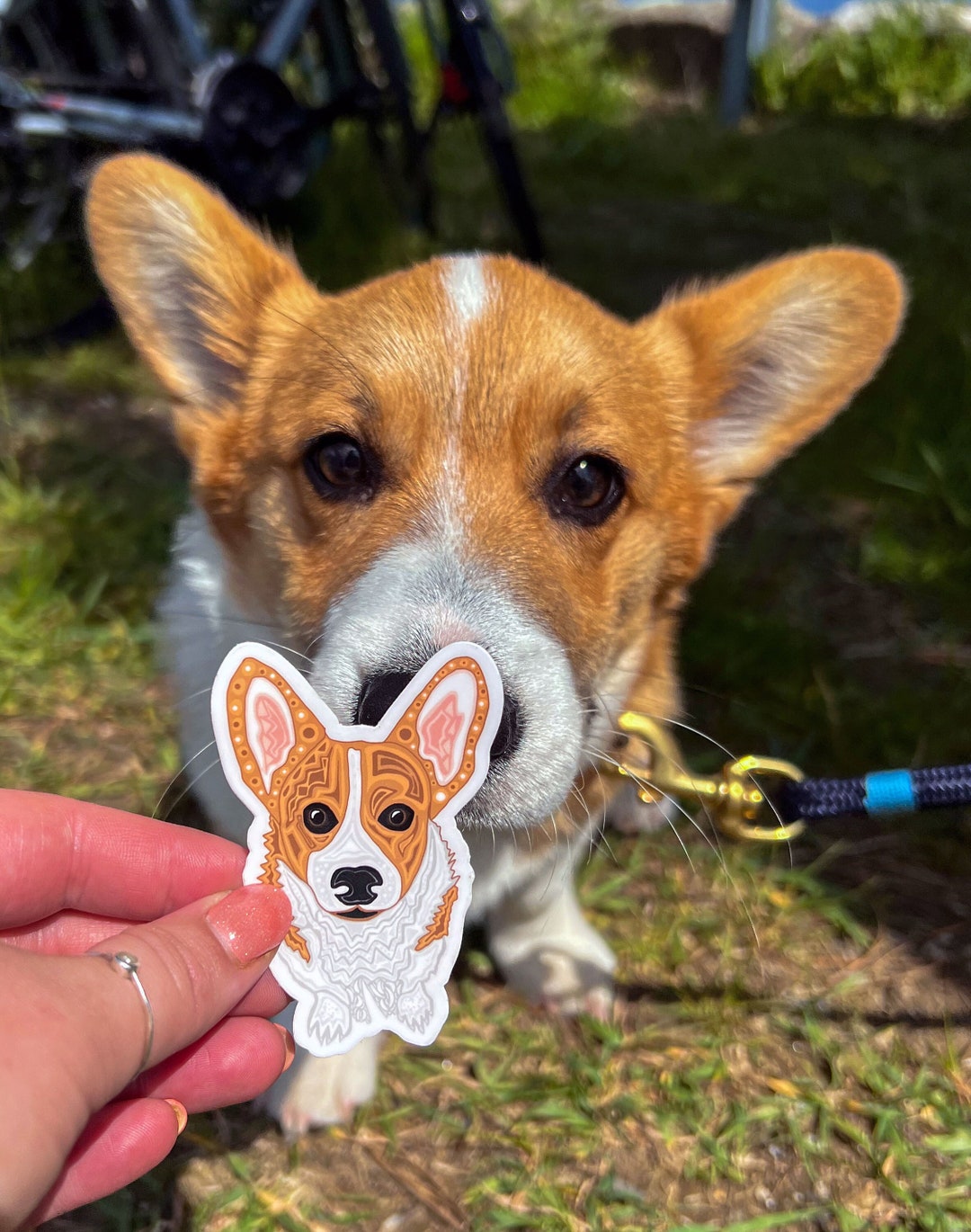 Labratory Corgi Sticker Corgi Sticker by Sarah Hiers Design - Corgi Art Sticker - Waterproof ...