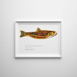 Brook Trout - North American Freshwater Fish Series by Sarah Hiers Design - Brook Trout Art Design - Brook Trout Print