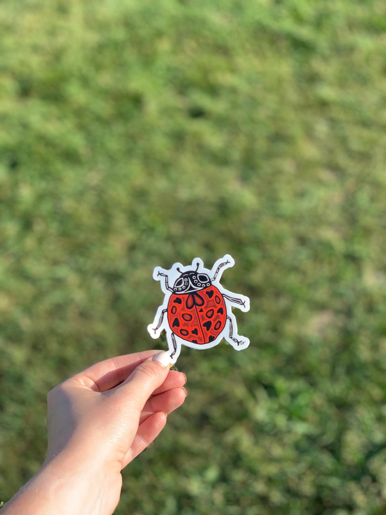 Ladybug Sticker • Cute Insect Vinyl Decal • Waterproof Nature Sticker ...