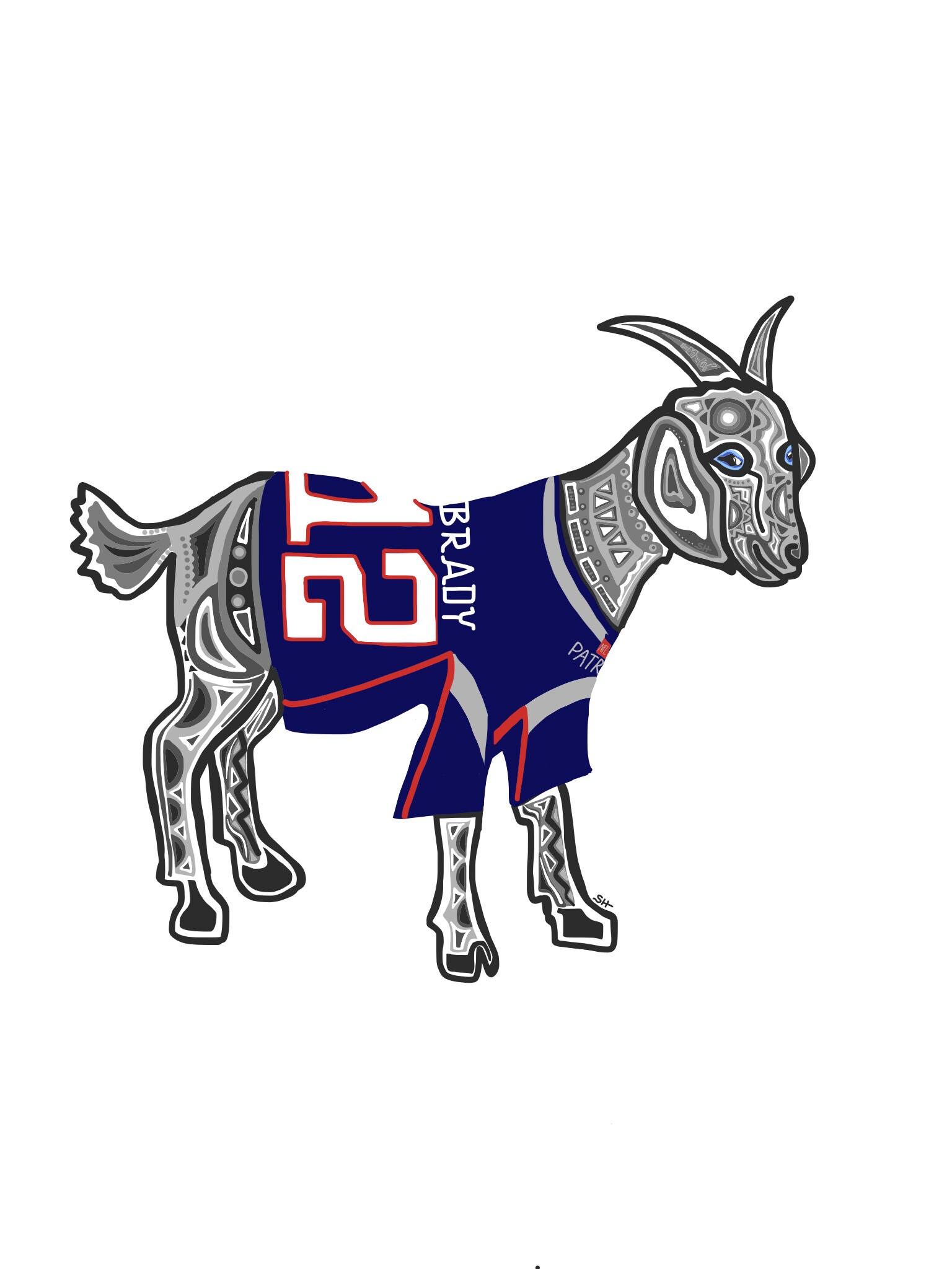 Tom Brady GOAT greatest of All Time TB12 New England | Etsy