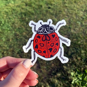 Ladybug Sticker - Ladybug Sticker Art - Ladybugs - Lady Bug Stickers - Lady Bug Sticker - Lady Bug Lover Gift Ideas - Lady Bug Design