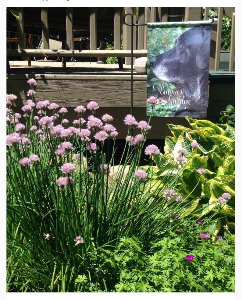 Custom Pet Flags Etsy