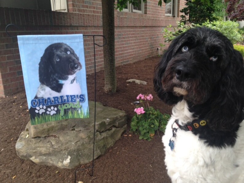 Custom Pet Flags Etsy
