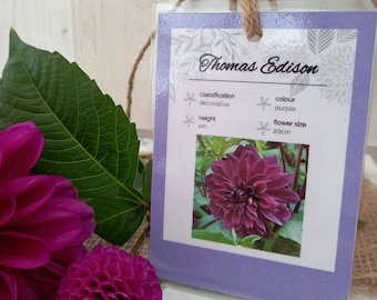 Flower Identification Cards Editable Template