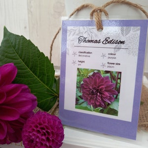 Plantilla editable de tarjetas de identificación de flores