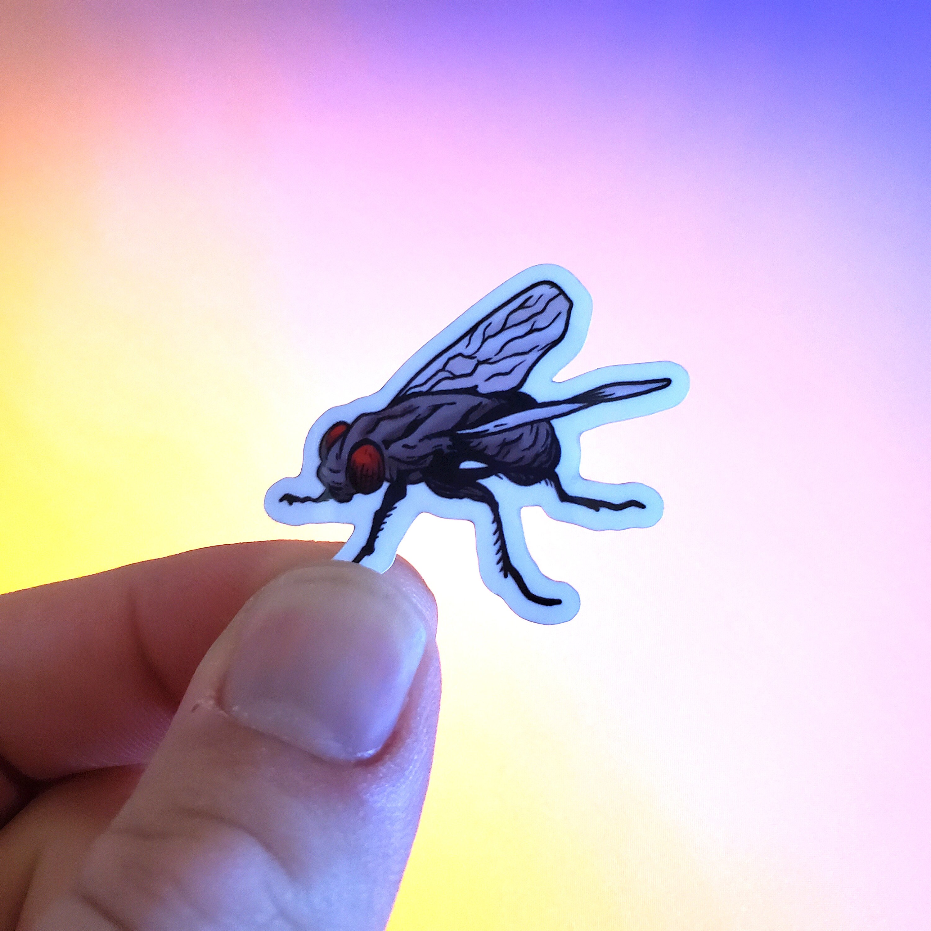 Fly Illustrated Sticker Art Sticker Clear Sticker Etsy