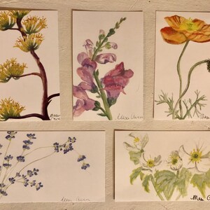 Cartões postais de aquarela floral botânico
