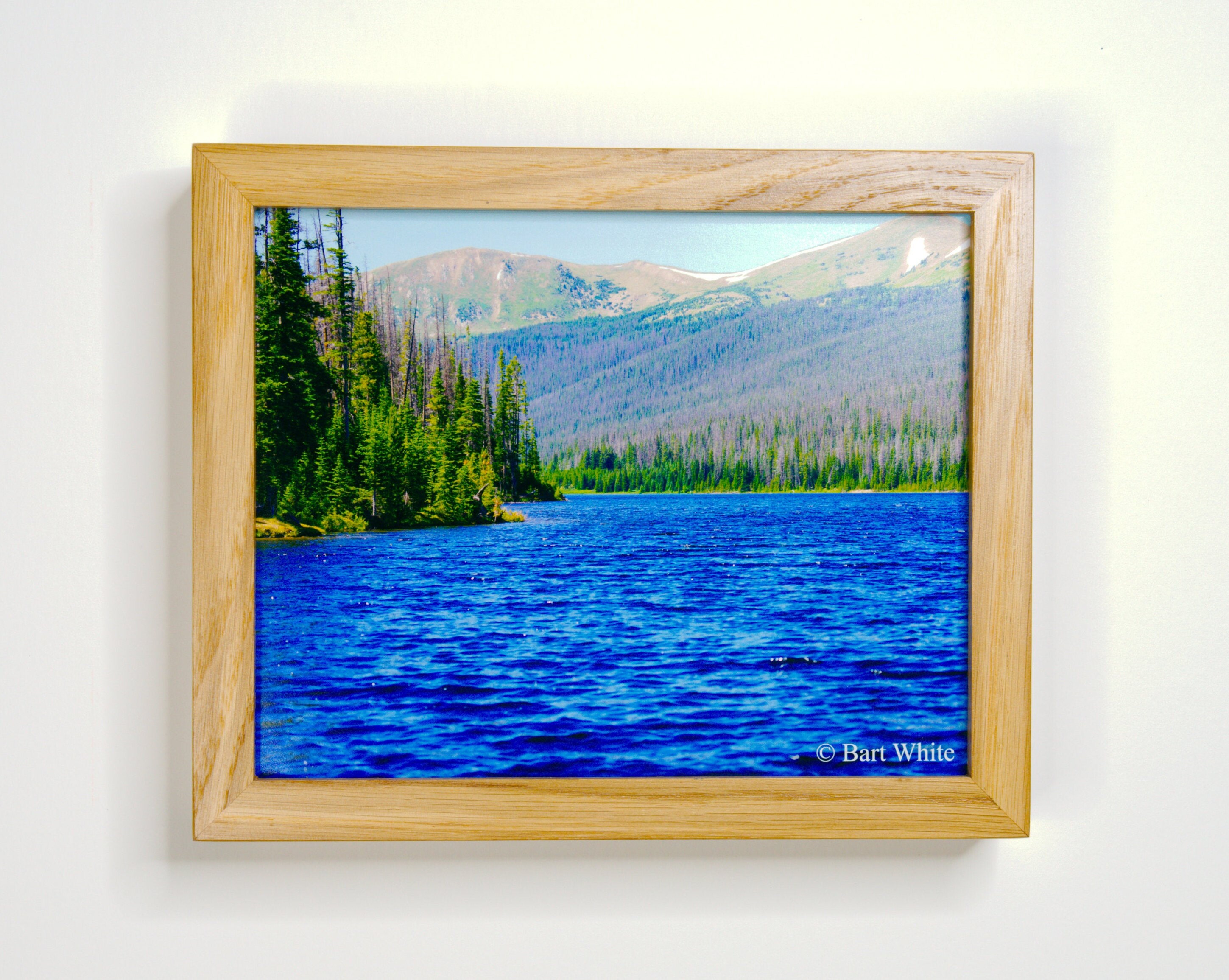 White Gun Frame Ready or Not Gun Frames white Oak - Etsy